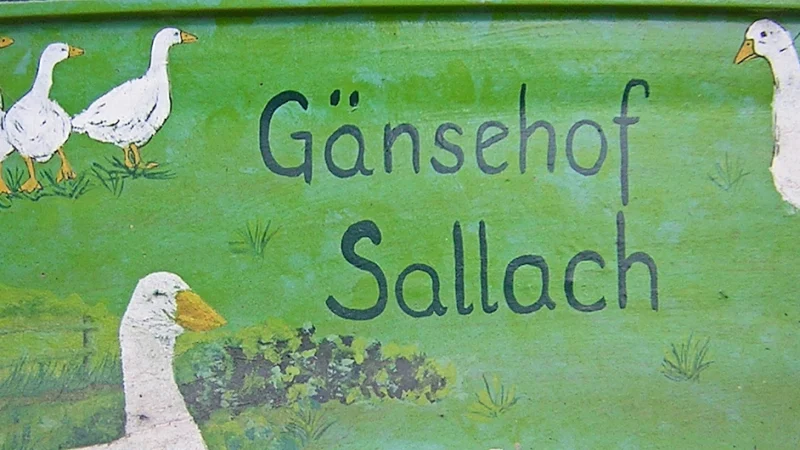 Gänsehof Sallach - Partschefeld (Thüringen)